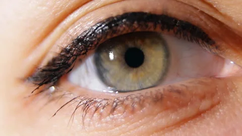 Macro shot of pupil narrows. Stock Footage 102390042