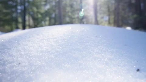 Macro shot of pure snow illuminated by the sun in the forest, Alps, Switzerland Stock Footage 240160950