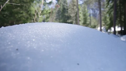 Macro shot of pure snow illuminated by the sun in the forest, Alps, Switzerland Stock Footage 240164186