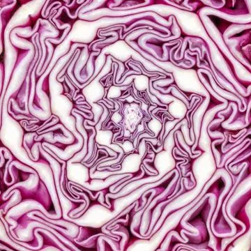 Macro shot of purple cabbage texture. Food background. Close-up macro view of Stock-Fotos