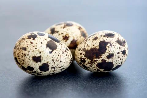 Macro shot of quails eggs Stock Photos