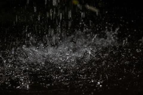 Macro shot of rain drops at evening 스톡 사진