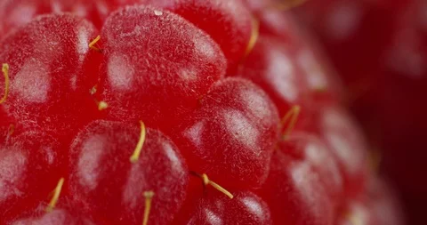 Macro shot of raspberries, fruit often used for jams, syrups and jellies Stock Footage 115309408