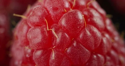 Macro shot of raspberries, fruit often used for jams, syrups and jellies Stock Footage 115309415