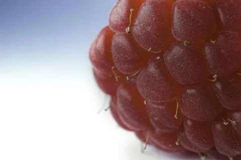 Macro shot of a Raspberry on the white background, selective focus of a berry Foto stock