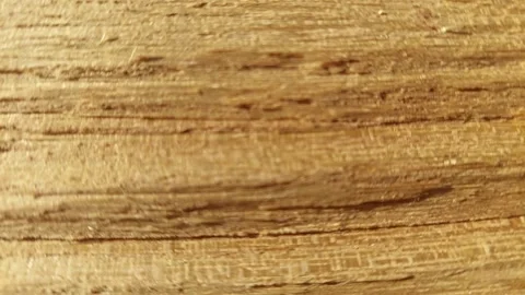 Macro shot of raw wood texture with natural fibers and grain Stock Footage 333641594