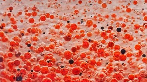 Macro shot of red and black bubbles slowly moving around in water with Video stock 124671113