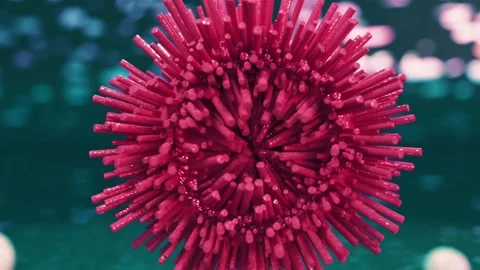 Macro shot of red bristled object rotating in front blurry background Stock Footage 327572803