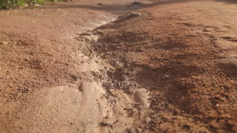 Macro shot of the red clay soil, in Ivory Coast Stock Footage 220798301