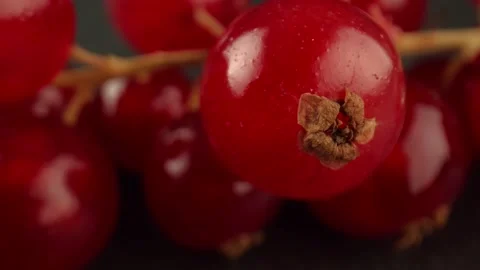 Macro shot of red currant berries on a dark background. Berries grown in the Stock Footage 165191200