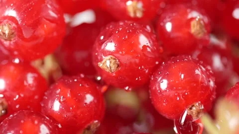 A macro shot of red currants with raindrops falling, highlighting the fresh.. Stock Footage 312976593