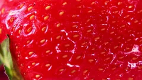 Macro shot of red fresh ripe strawberry. Stock Footage 136657672