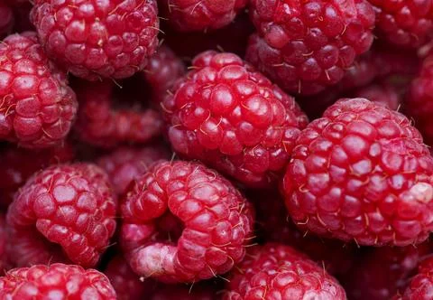 Macro shot of red raspberry background Stock Photos