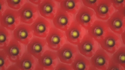 Macro shot of a red strawberry, a fruit used much for cooking pastries and fruit Stock Footage 100921452