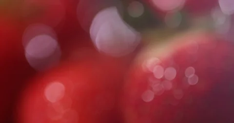 Macro shot of Ripe Strawberry. Stock Footage 116976089