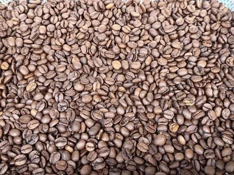 Macro shot of roasted dark roast Robusta coffee beans texture Stock Photos
