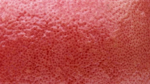 Macro shot of rotating grapefruit peel structure. Close-up fruit texture. Stock Footage 150390882