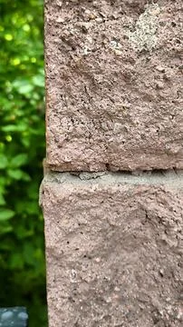 Macro shot of rough red brick texture with porous surface. Fotos Stock