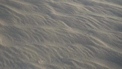 Macro shot of a sand dune with wind, in Argentina Stock Footage 237292536