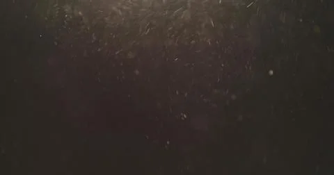 Macro shot of sand dust explosive flow for overlay Stock Photos