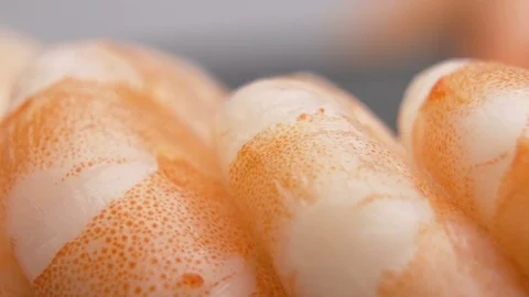 Macro shot of Shrimp segmented abdomen Stock-Footage 126633953