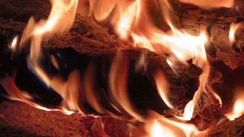 Macro shot of a single log burning with intense, slow-moving flames. Stock Footage 317913912
