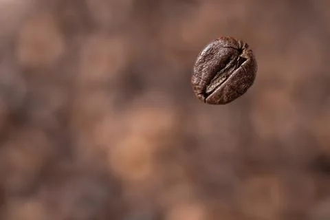 Macro shot of a single roasted coffee bean in the. Photos