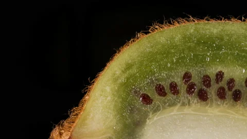Macro Shot Slice of fresh Green Kiwi and Seeds Fruit on Black Background. Jui Stock Footage 152982765