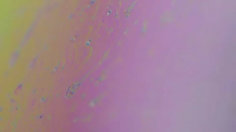 Macro shot of small chromatic objects moving on a rainbow colored surface. Video stock 131159608