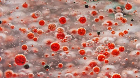 Macro shot of small red bubbles floating in water and dark bubbles falling Video stock 124671191