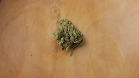 Macro shot of small sativa or indica weed bud with fresh trichoma crystals Vidéo 124507466