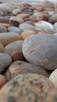 Macro shot of a smooth beach pebble with blurred background Stock Photos