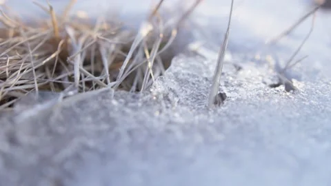 Macro shot of snow and cold ice on straw in the Alps, Switzerland Stock Footage 239782429