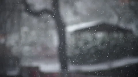 Macro shot of snow with a park in the background Stock Footage 268621879