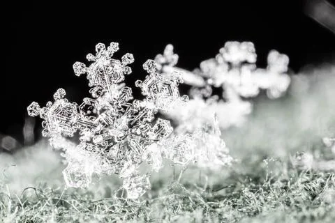 Macro shot of snowflakes Stock Photos