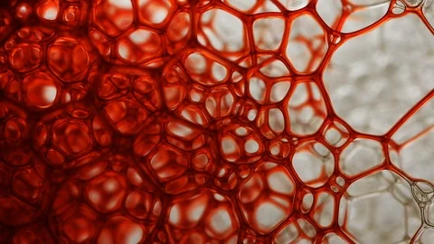Macro shot of soap bubbles with red color, looking like blood Stock Footage 94701682