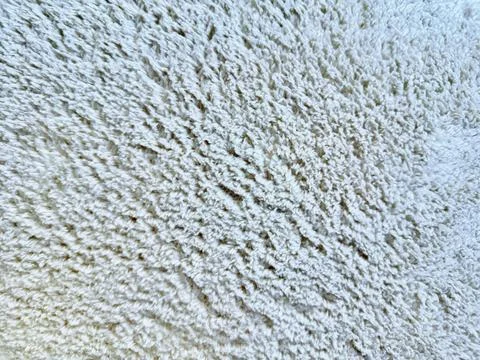 Macro shot of soft off white wool fleece texture with natural shadows and org Stock-Fotos