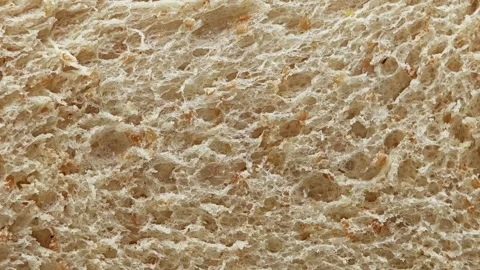 Macro shot of soft whole wheat bread. Zoom in. Stock Footage 310846296