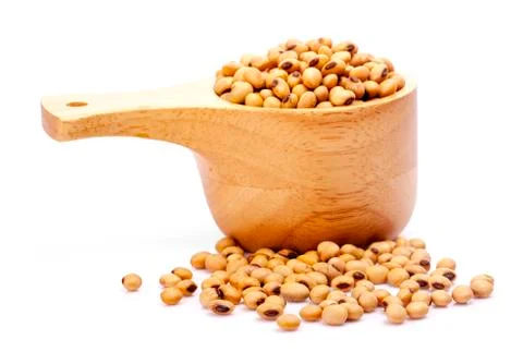 Macro shot of soybeans isolate on white background. Stock Photos