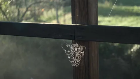 Macro shot of spider web on wooden frame of forest lodge and rising fog in Stock Footage 322194965