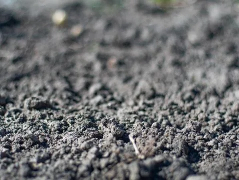 Macro shot of spring ground Stock Photos