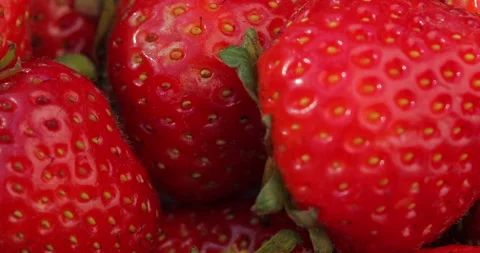 Macro shot of strawberries. Stock Footage 135629005