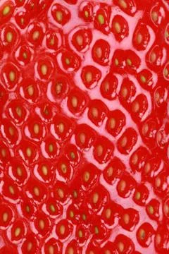 Macro shot of a strawberry Stock Photos