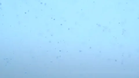 Macro shot of surface level of blue water with bubbles. Air bubbles in wate.. Stock Footage 275069912