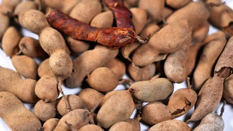 Macro Shot of Tamarind Shells and Pulp Showing Natural Texture. Stock Footage 331501422