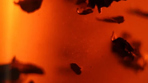 Macro shot of tea leaves floating in boiling water in a tea pot.  Stock Footage 88986779