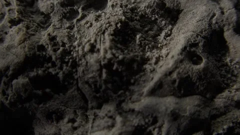 Macro shot of textured stone surface Stock Footage 287876493