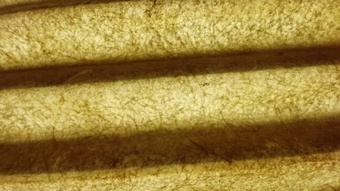 Macro shot of textured yellow paper or fibrous material with shadows Stock Footage 334396536