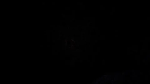 A macro shot of tiny firefly glows brilliantly in the deep darkness, flashi.. 스톡 동영상 335520374