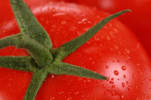 Macro shot of a tomato Stock Photos